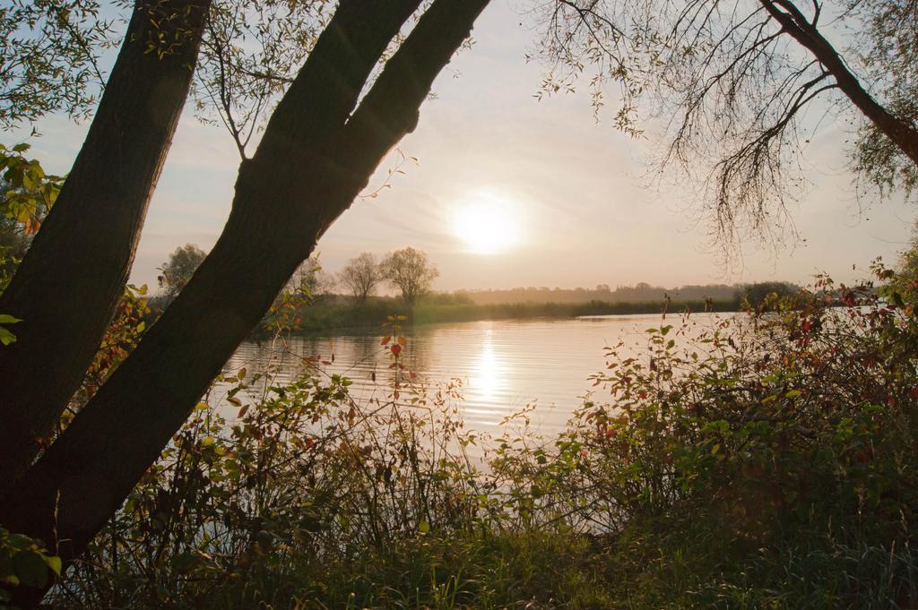 Seehotel Brandenburg An Der Havel Brielow Exteriér fotografie